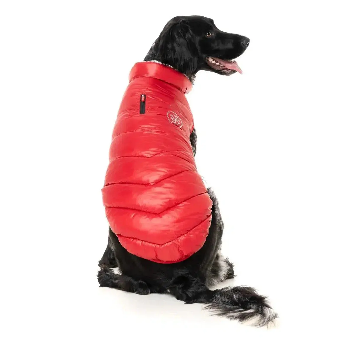 FuzzYard Hakuba Dog Jacket - Red